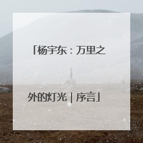 杨宇东：万里之外的灯光｜序言