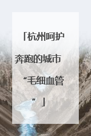 杭州呵护奔跑的城市“毛细血管”