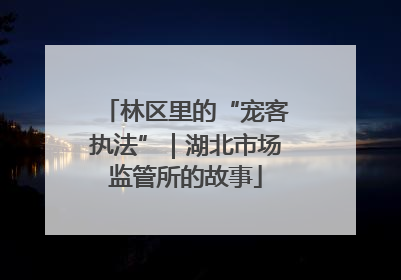 林区里的“宠客执法”｜湖北市场监管所的故事