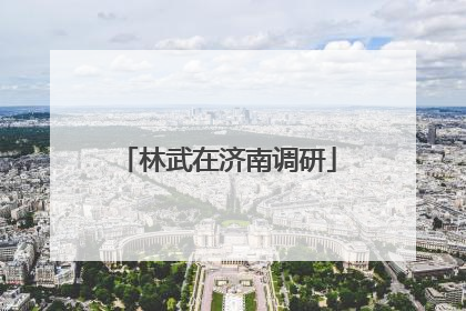 林武在济南调研