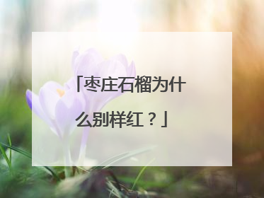 枣庄石榴为什么别样红？
