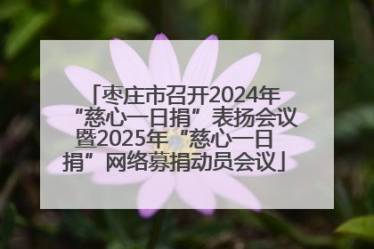 枣庄市召开2024年“慈心一日捐”表扬会议暨2025年“慈心一日捐”网络募捐动员会议