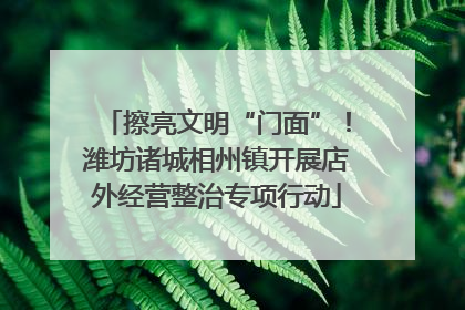 擦亮文明“门面”！潍坊诸城相州镇开展店外经营整治专项行动