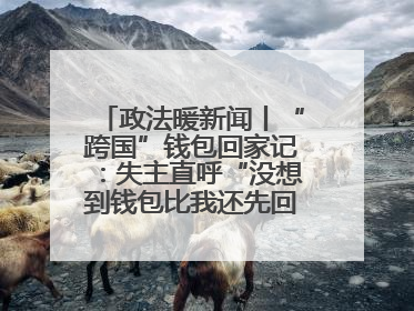 政法暖新闻丨“跨国”钱包回家记：失主直呼“没想到钱包比我还先回国！”