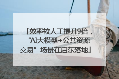 效率较人工提升9倍，“AI大模型+公共资源交易”场景在启东落地