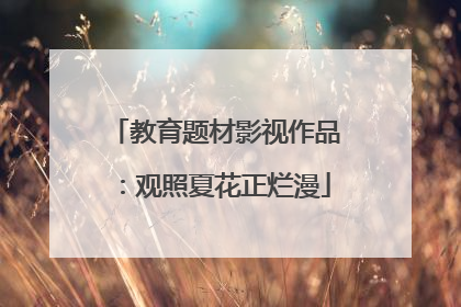 教育题材影视作品：观照夏花正烂漫