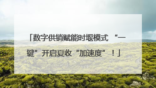 数字供销赋能时堰模式 “一键”开启夏收“加速度”！