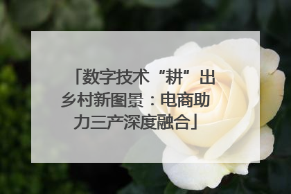 数字技术“耕”出乡村新图景：电商助力三产深度融合