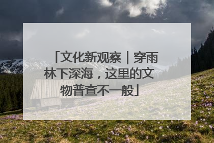 文化新观察｜穿雨林下深海，这里的文物普查不一般