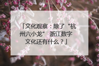 文化观察：除了“杭州六小龙” 浙江数字文化还有什么？