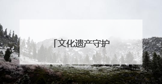 文化遗产守护传承活动举行