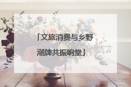 文旅消费与乡野潮牌共振响堂