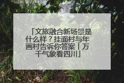 文旅融合新场景是什么样？挂面村与年画村告诉你答案丨万千气象看四川