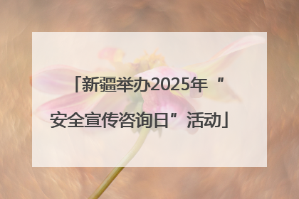 新疆举办2025年“安全宣传咨询日”活动