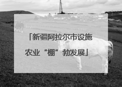 新疆阿拉尔市设施农业“棚”勃发展