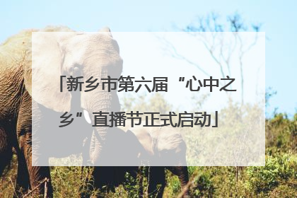 新乡市第六届“心中之乡”直播节正式启动