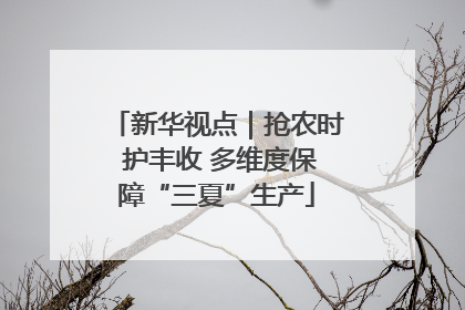 新华视点｜抢农时 护丰收 多维度保障“三夏”生产