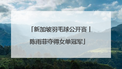 新加坡羽毛球公开赛丨陈雨菲夺得女单冠军