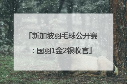 新加坡羽毛球公开赛：国羽1金2银收官