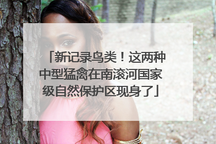 新记录鸟类！这两种中型猛禽在南滚河国家级自然保护区现身了