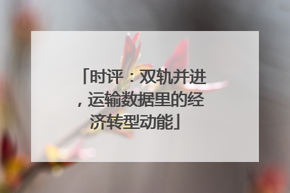 时评：双轨并进，运输数据里的经济转型动能