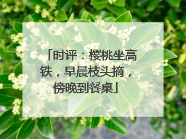 时评：樱桃坐高铁，早晨枝头摘，傍晚到餐桌