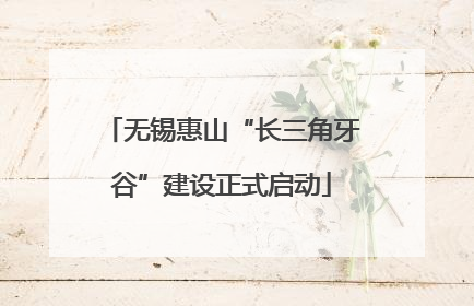 无锡惠山“长三角牙谷”建设正式启动
