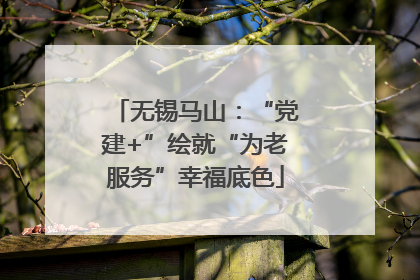 无锡马山：“党建+”绘就“为老服务”幸福底色