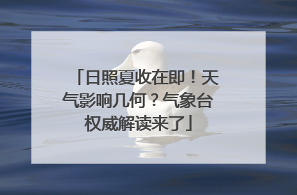 日照夏收在即！天气影响几何？气象台权威解读来了