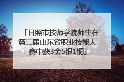 日照市技师学院师生在第二届山东省职业技能大赛中获3金5银1铜