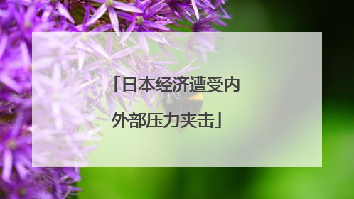 日本经济遭受内外部压力夹击