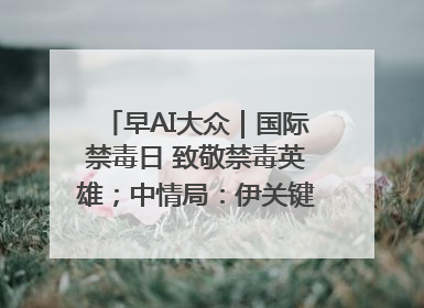 早AI大众｜国际禁毒日 致敬禁毒英雄；中情局：伊关键核设施被摧毁