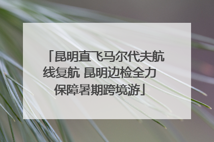 昆明直飞马尔代夫航线复航 昆明边检全力保障暑期跨境游