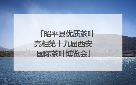 昭平县优质茶叶亮相第十九届西安国际茶叶博览会