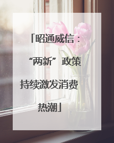 昭通威信：“两新”政策持续激发消费热潮