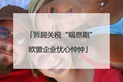 暂居关税“喘息期” 欧盟企业忧心忡忡