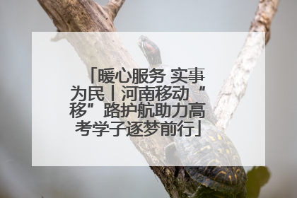暖心服务 实事为民丨河南移动“移”路护航助力高考学子逐梦前行