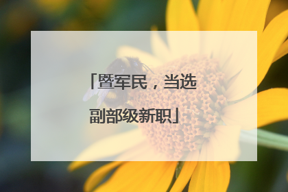 暨军民，当选副部级新职