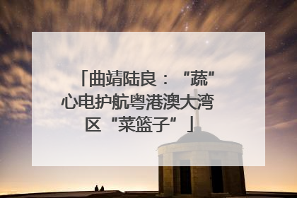 曲靖陆良：“蔬”心电护航粤港澳大湾区“菜篮子”