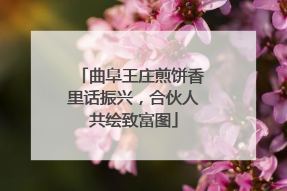曲阜王庄煎饼香里话振兴，合伙人共绘致富图