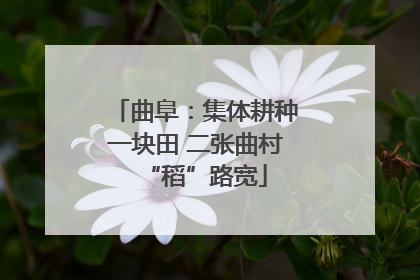 曲阜：集体耕种一块田 二张曲村“稻”路宽