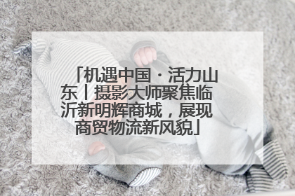 机遇中国・活力山东丨摄影大师聚焦临沂新明辉商城，展现商贸物流新风貌