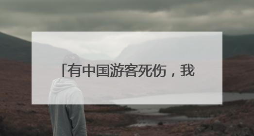 有中国游客死伤，我驻意大利使馆发声