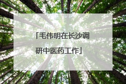 毛伟明在长沙调研中医药工作