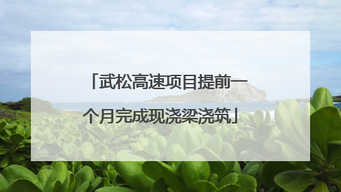 武松高速项目提前一个月完成现浇梁浇筑
