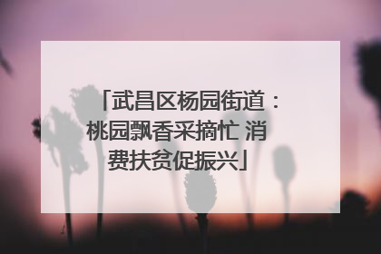 武昌区杨园街道：桃园飘香采摘忙 消费扶贫促振兴