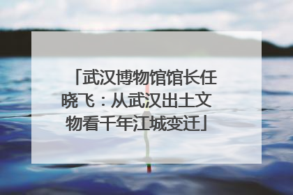 武汉博物馆馆长任晓飞：从武汉出土文物看千年江城变迁