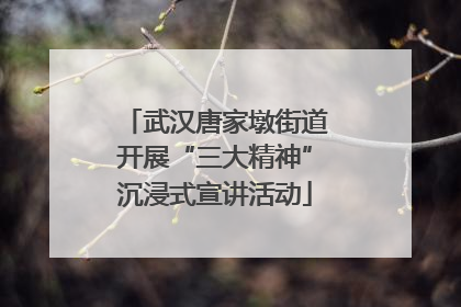 武汉唐家墩街道开展“三大精神”沉浸式宣讲活动