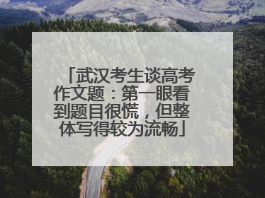 武汉考生谈高考作文题：第一眼看到题目很慌，但整体写得较为流畅