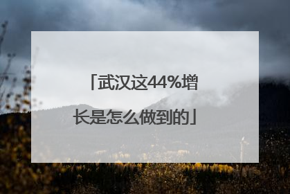 武汉这44%增长是怎么做到的